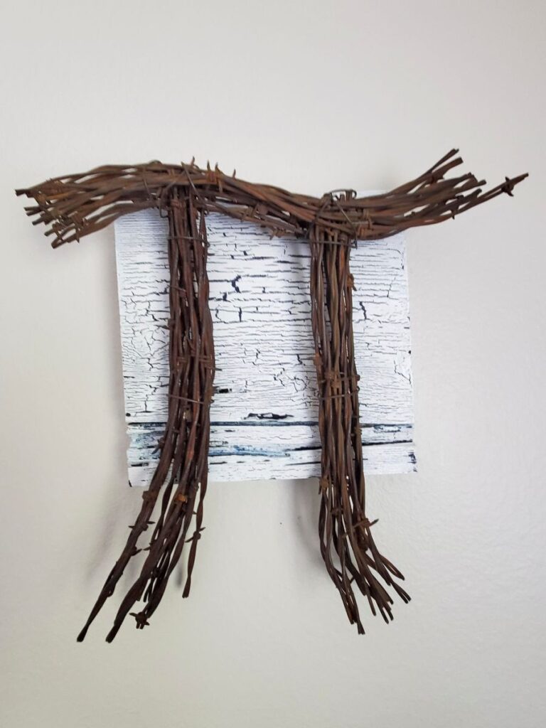 002 Barbed Pi_DR Fickas artwork