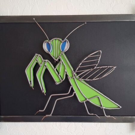 036 Mantis_DR Fickas Artwork